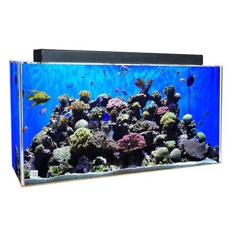 Clear For Life Rectangle 100 Gallon Acrylic Aquarium Fresh Or Saltwa