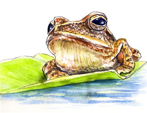 World Watercolor Month - Day 12 - A Frog At Sunset ~ Doodlewash®