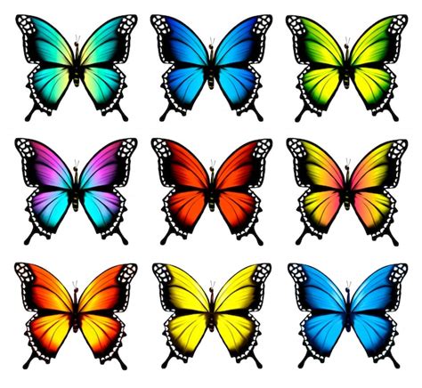 Conjunto De Coloridas Mariposas Vector Premium