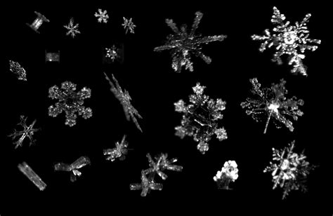 What Do Snowflakes Really Look Like Photos Farm And Dairy