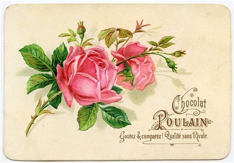 Vintage Graphic French Roses The Graphics Fairy