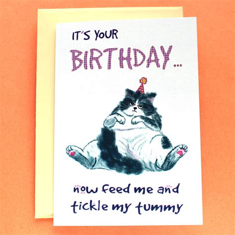 Buy Funny Cat Birthday Card Quirky Birthday Card It Is Your Birthday