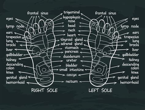 What Are The Benefits Of Learning Reflexology Centre Of Wellness