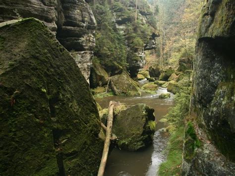 Zoek op meer dan 200 voorzieningen. Natuur in Tsjechië | 10X Mooiste plekken