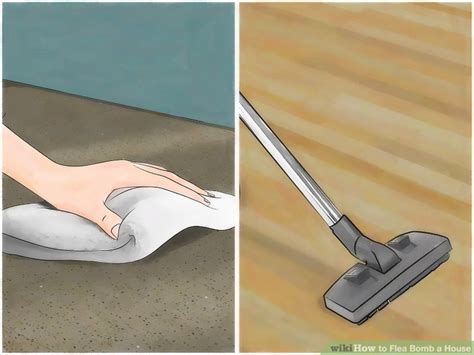 Treating the house download article 1. How to Flea Bomb a House (with Pictures) - wikiHow