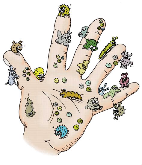 Animated Germs On Hands Clipart