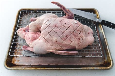an image of a whole duck with the skin scored in preparation for roasting it in the oven