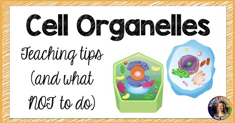 Tips For Teaching Cell Organelles Science Lessons That Rock