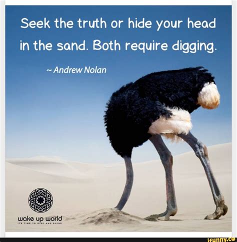 Seek The Truth Or Hide Your Head In The Sand Both Require Digging