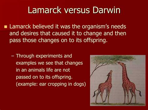 Ppt Evolution Darwin Verses Lamarck Powerpoint Presentation Free