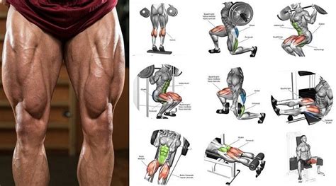 Best Leg Workouts To Build Muscle Easy Muscle Tips