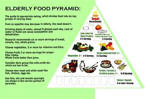The problem with the us government's original food guide pyramid, released in 1992, was that it conveyed the wrong dietary advice. Food Pyramid Older Adults - Food Ideas