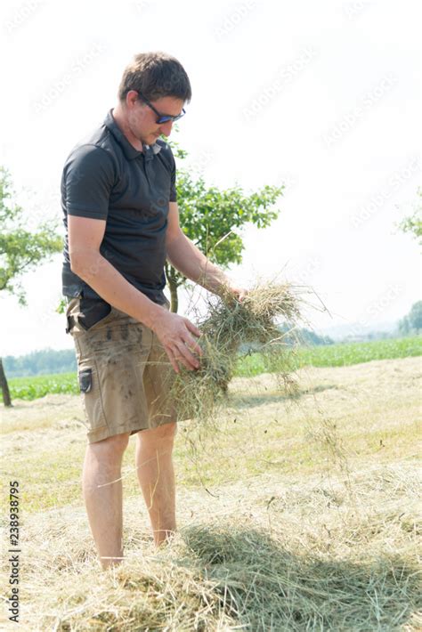 Junger Mann Bei Der Heu Kontrolle Stock Photo Adobe Stock