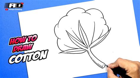 How To Draw Cotton Youtube