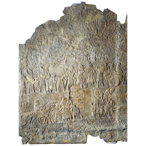 Sennacherib was the king of assyria from 705 bce to 681 bce. Stone Relief from the South-West palace of Sennacherib | History 2701 Wiki | FANDOM powered by Wikia