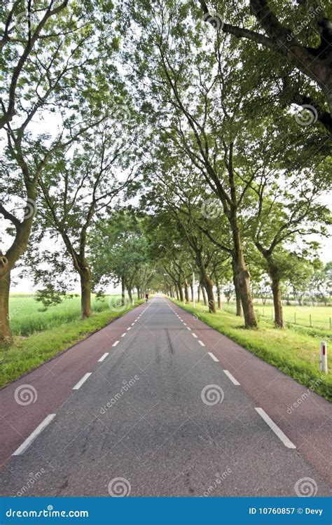 Countryroad In The Netherlands Stock Image Image Of Holland Asphalt