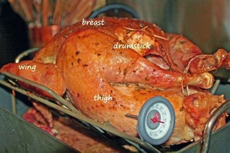 Don't put it in the turkey the whole time the bird cooks. Meat Thermometer Turkey Placement | Video Bokep Ngentot