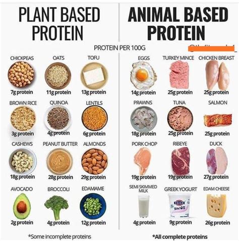 PROTEIN per 100G | Diet and nutrition, Health food, Protein foods list