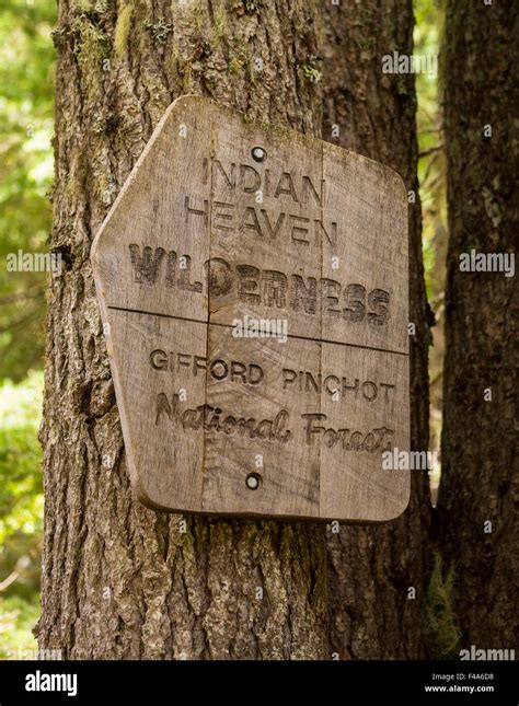 Ford Pinchot National Forest Washington Usa Wooden Sign On Tree