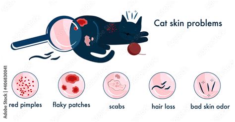 Cat Skin Problemsinfographics Icons With Different Symptoms Allergy