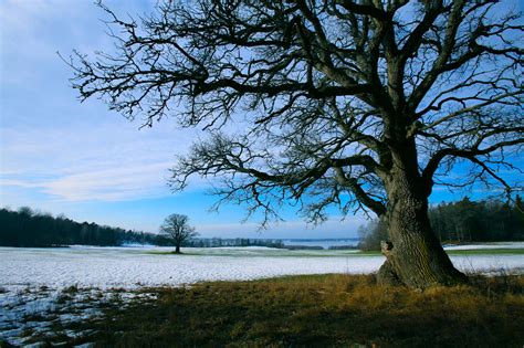 Reportrar och experter finns utposterade i abisko i lappland, handöl i jämtland, hjälstaviken i uppland och stenåsa på öland. Bild: Trefaldighetskällan i Kungshamn-Morga - Utsidan