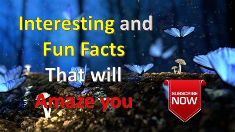 Interesting And Fun Facts That Will Amaze You Youtube