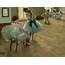 The Dance Lesson Ballerinas 1879 Painting By Edgar Degas
