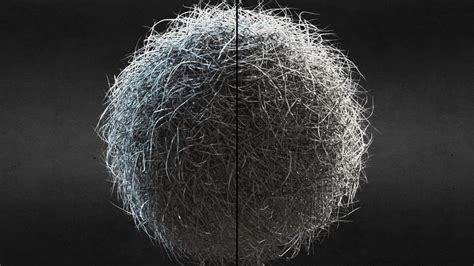 Hairball Download Free 3d Model By Paul Sketchfab Paulsketch