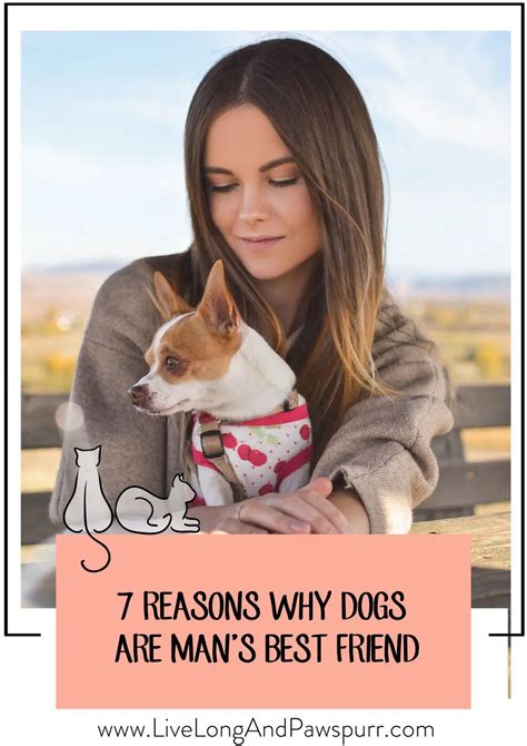 Why Dogs Are Mans Best Friend Live Long And Pawspurr