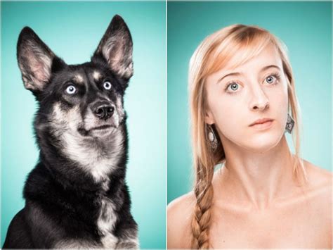 16 Perros Que Se Parecen A Sus Dueños