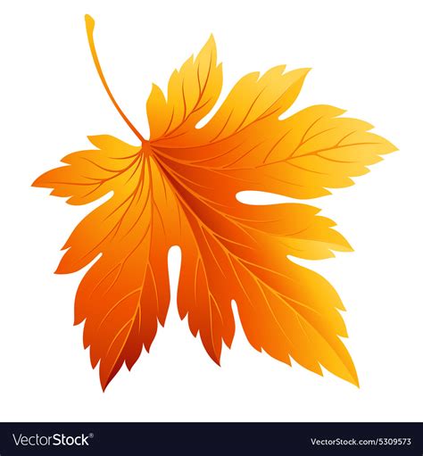 Fall Leaf Isolated In White Royalty Free Vector Image