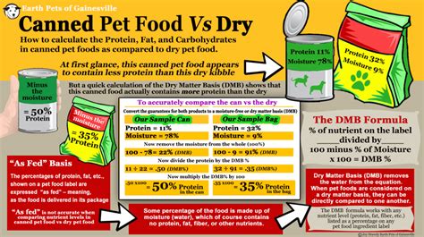 10 Best Dog Food And Nutrition Infographics Ever Made
