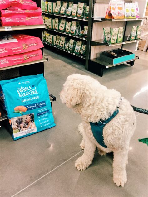 Actually it seems hard to find grain free if our cat and dog food reviews help, then help us by telling others. Wholehearted Grain Free Dog Food & a Petco Giveaway ...