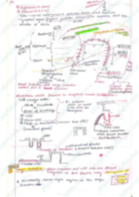 Solution Digestion And Absorption Class Biology Handwritten Notes