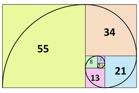 Detail Contoh Bilangan Fibonacci Koleksi Nomer
