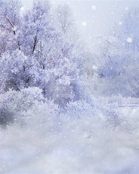 26 Beautiful Winter Wonderland Wallpapers Wallpapersafari