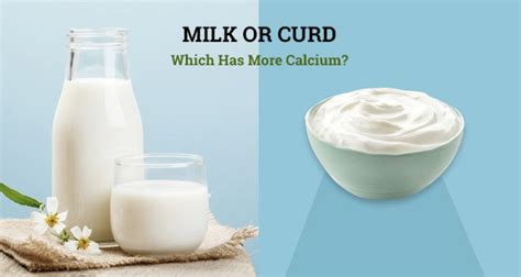 Milk Or Curd What Has More Calcium My Doctor My Guide