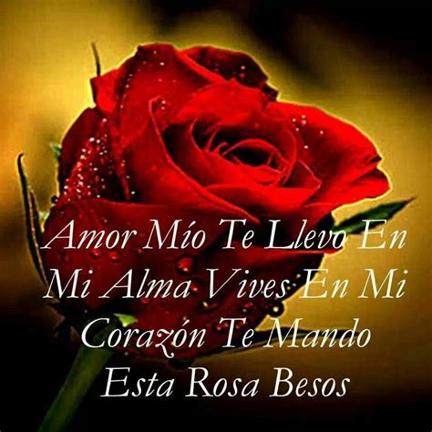 Imagen de una Rosa con mensaje de amor Sólo Imagenes de Amor Love