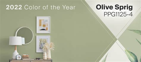 Tips For Decorating With Ppgs 2023 Color Of The Year Olive Sprig