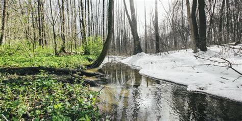 Winter To Spring Time Lapse Stock Photos Free And Royalty Free Stock