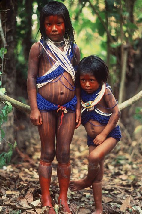 la tribu des kayapo jean pierre dutilleux indios brasileiros povos indígenas brasileiros