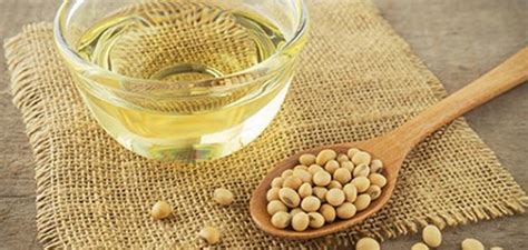 وهو يعتبر من أكثر الزيوت استعمالا في العالم بنسبته 30% قبل زيت فول الصويا. فوائد زيت فول الصويا للشعر - موضوع