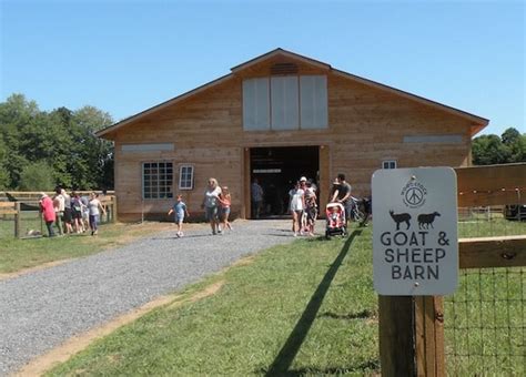 Woodstock Farm Animal Sanctuary Moves To High Falls Ny