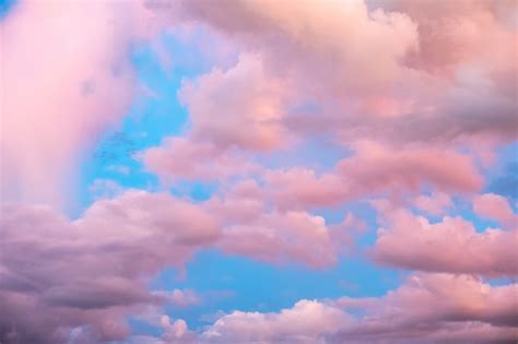 Coloridas Nubes De Color Rosa En El Cielo Azul Foto Premium