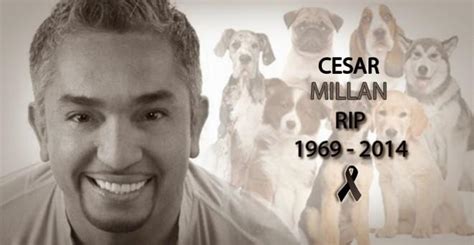 Hoax Busted Report On Popular Dog Whisperer Cesar Millans Death Is