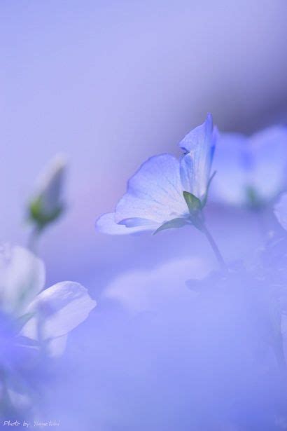 Download Free 100 Periwinkle Aesthetic Wallpapers