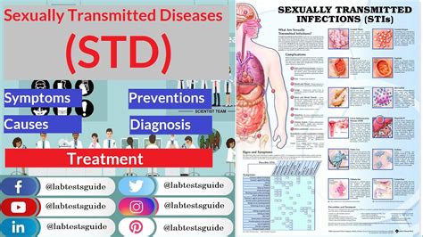 Designingforyoo How Can Stds Be Transmitted
