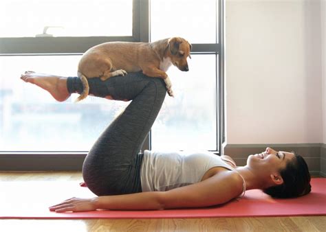 Discover The Benefits Of Doga Yoga Sessions With Your Dog