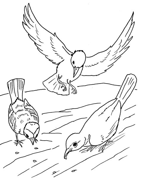 Printable Birds Coloring Page To Print And Color From The Gallery
