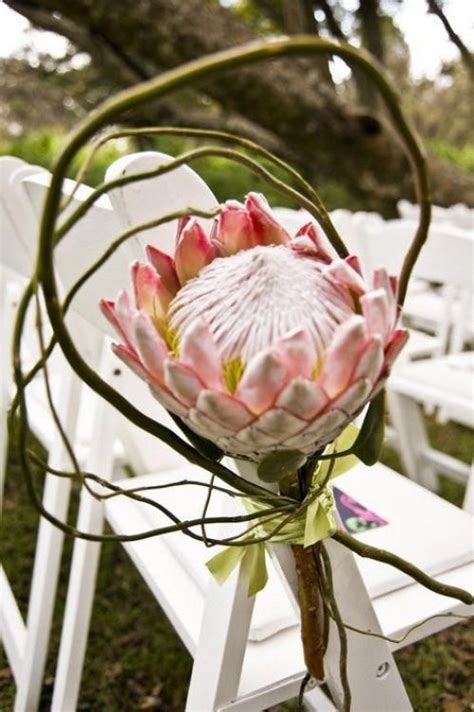 Protea Wedding Flowers Protea Wedding Wedding Bridal Bouquets